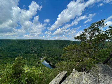 Çek Cumhuriyeti 'nde Dyje nehri ile Podyji Ulusal Parkı. Yüksek kalite fotoğraf