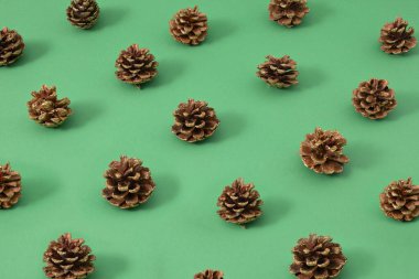 Pastel yeşil arka planda parıltılı kozalak desenli klasik Noel desenli yaratıcı kavram. Yeni yıl yaklaşıyor..