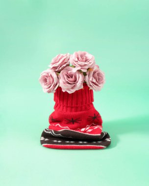 Kalın bir Noel süveteri vazosunun içinde taze gül buketi konsepti. Pastel turkuaz arkaplan üzerine yaratıcı bir kavram.