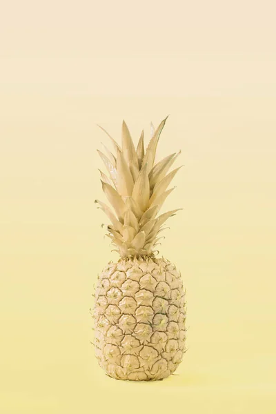 Jaune Créatif Concept Fruits Tropicaux Été Pastel Ananas Savoureux Une — Photo