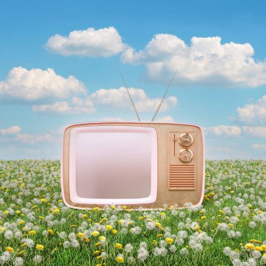 Creative 3D Illustration concept of pastel retro pink television on a grassy meadow. Alternative vintage environment.
