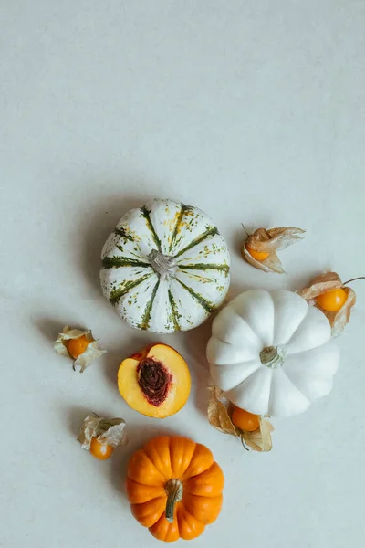 Bright and cozy fall vibes flat lay od decorative pumpkins, sunflowers, physalis and peach. Hello autumn
