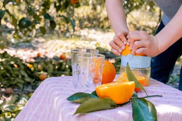 Child Making Freshly Squeezed Orange Juice Backdrop Citrus Garden Boy — Stock Photo, Image