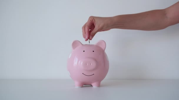 女性の手は貯金箱に硬貨を入れる お金の節約 — ストック動画