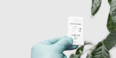 Tıbbi eldiven, viral hastalıklar için hızlı antijen test kiti içeriyor. COVID-19 negatif sonuç veriyor. Yeşil yapraklı beyaz arka plan..