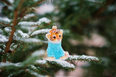 Mavi kazaklı bir kaplan yavrusu heykelciği dışarıdaki bir Noel ağacının karla kaplı dalında oturur. İğnelerde kar taneleri. Kaplan, 2022 yılının bir sembolüdür. Seçici odak.