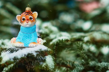 Kızıl Dicle karlı bir yılbaşı ağacının dalında. 2022 yılının kaplan sembolü. Mutlu noeller. Mutlu yıllar..