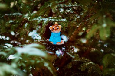 Kızıl Dicle karlı bir yılbaşı ağacının dalında. 2022 yılının kaplan sembolü. Mutlu noeller. Mutlu yıllar..