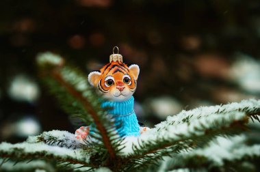 Kızıl Dicle karlı bir yılbaşı ağacının dalında. 2022 yılının kaplan sembolü. Mutlu noeller. Mutlu yıllar..