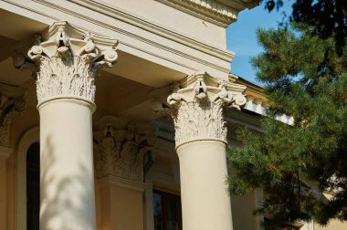 Sütunun en üstünde sermaye. Güzel bir mimari element. Sütunun tepesinde. Çam ağacının yanındaki eski bir bina. Rus Ordusu Subayları Evi.