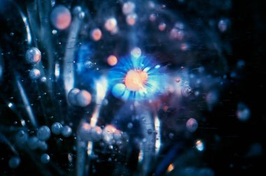 Buzun kalınlığında buz kabarcıklarının tonlanmış bileşimi. Renkli arka plan. Atom altı parçacıklar ya da kozmik cisimler kavramı. Soyut görüntü. Seçici odak.