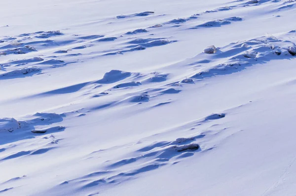 アムール川の氷の上に雪が降ります 雪の後の朝 雪片の形のパターンは 風の方向に対応します 雪片からの影の中で非常にPeri色 — ストック写真