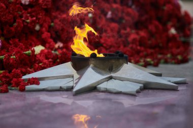 Karanfil çiçeklerinin arka planında sonsuz ateş. Alevler granite yansıyor. Blagoveshchensk, Rusya 'daki Meçhul Asker' in Mezarı.