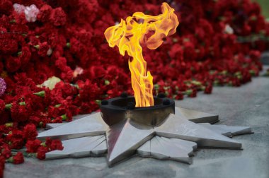 Karanfil çiçeklerinin arka planında sonsuz ateş. Alevler granite yansıyor..