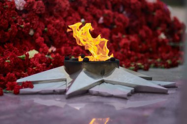 Karanfil çiçeklerinin arka planında sonsuz ateş. Alevler granite yansıyor. Blagoveshchensk, Rusya 'daki Meçhul Asker' in Mezarı.