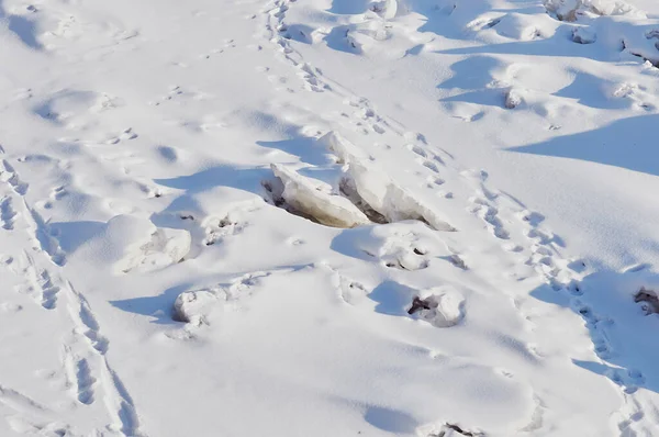 冬は雪と氷。自然な質感。川の晴れた日に光と影。犬のトラックを巻き。雪の中の人や動物の痕跡. — ストック写真