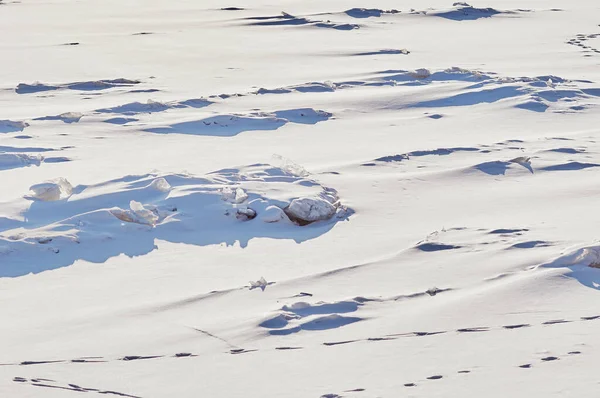 冬天的冰雪。天然质感在一个阳光明媚的日子里,河流上的光影.蜿蜒的狗迹。雪中的人和动物的踪迹. — 图库照片
