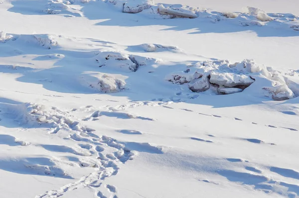 冬の日には川の雪に覆われた氷の表面。人や動物の痕跡。光と影. — ストック写真