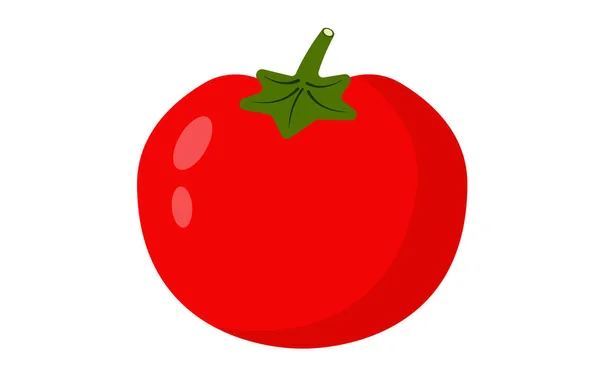 Domatesler sağlam ve beyaz bir zeminde. Taze kırmızı sebze, vejetaryen, vejetaryen.