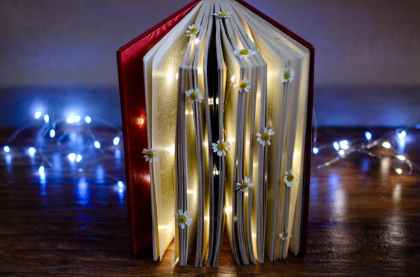 Książka Stokrotkami Oświetlonymi Girlandy — Zdjęcie stockowe