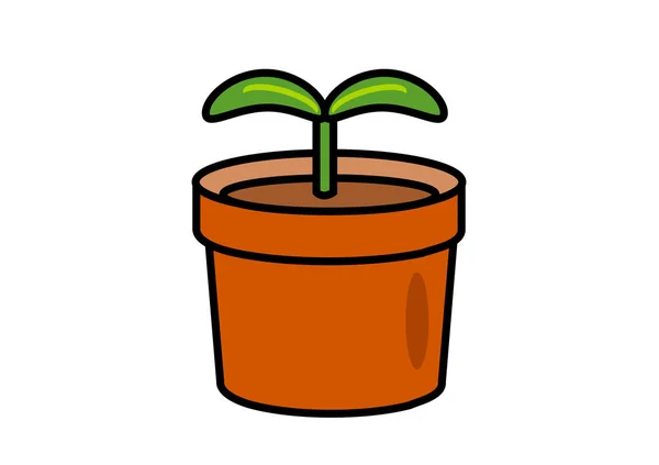 Plant Een Pot — Stockfoto