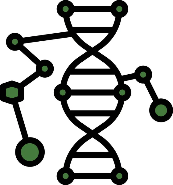 Adn Coincidencia Icono Genética — Vector de stock