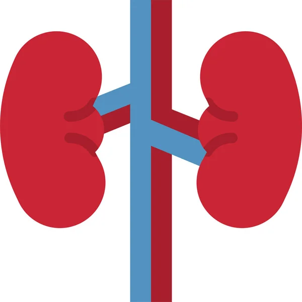 Kidney Kidneys Urology Icon — Stock vektor
