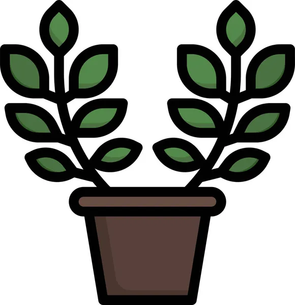 Zamioculcas Pot Plant Icon — 스톡 벡터