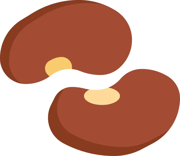 Kidney Beans Bean Icon — Stock Vector