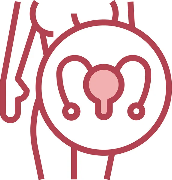 Ikona Anatomie Děložního Čípku — Stockový vektor
