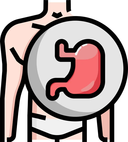 Anatomía Salud Digestiva Icono — Archivo Imágenes Vectoriales