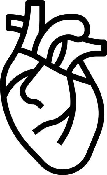 Herz Anatomie Organe Symbol Umriss Stil — Stockvektor
