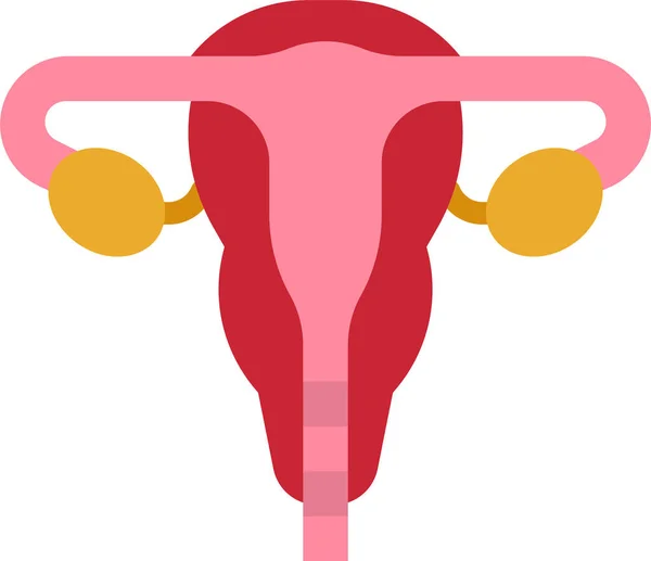 子宮女性卵巣アイコン — ストックベクタ