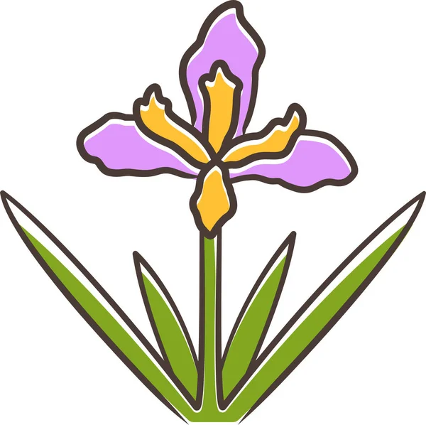 California Wildflower Douglas Iris Douglas Iris Icon — Stockový vektor