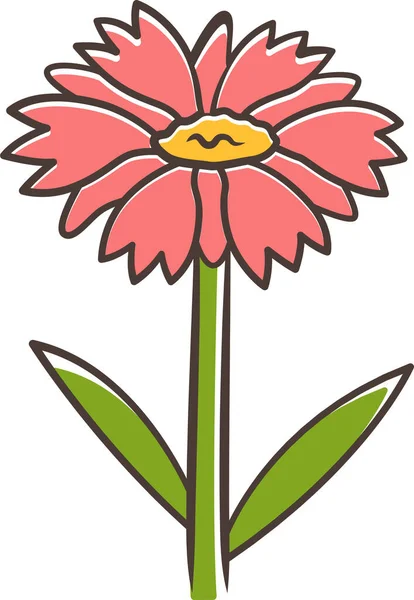 Arizona Apricot Wildflower Blanket Flower Blanket Flower Icon Icon — 图库矢量图片