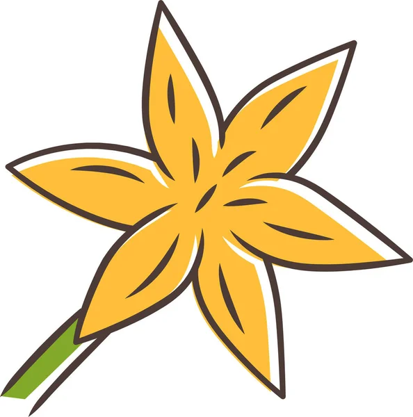 Blühende Wildblume Gemeinsame Sternlilie Gemeinsame Sternlilie Symbol — Stockvektor