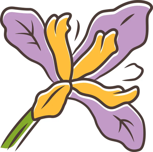 California Wildflower Douglas Iris Douglas Iris Icon Icon — Stock Vector