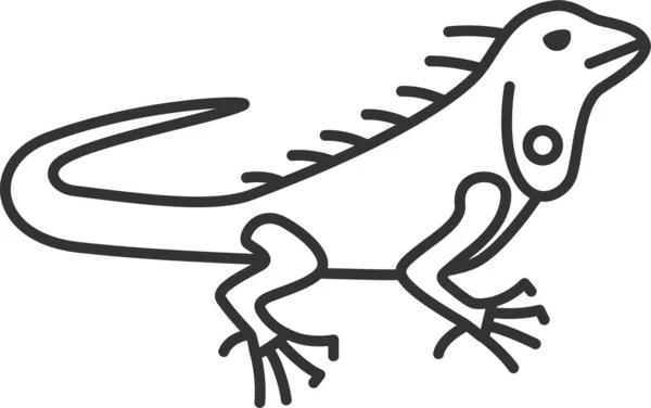 Ícono Iguana Herbívora Animal Estilo Contorno — Vector de stock