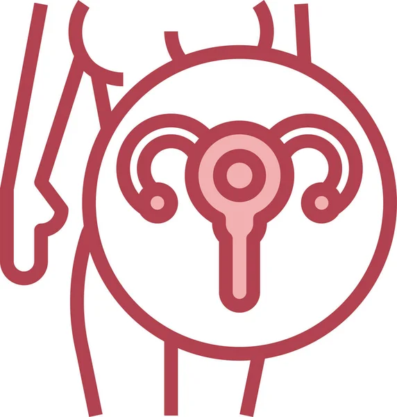 Икона Женских Органов Фаллопа — стоковый вектор