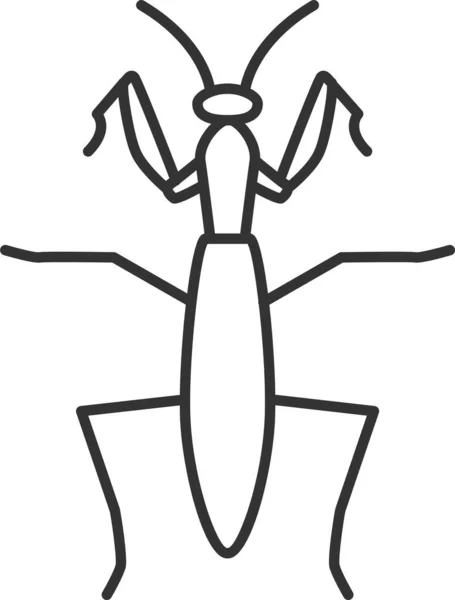 Bugg Entomologi Insekt Ikon Kontur Stil — Stock vektor