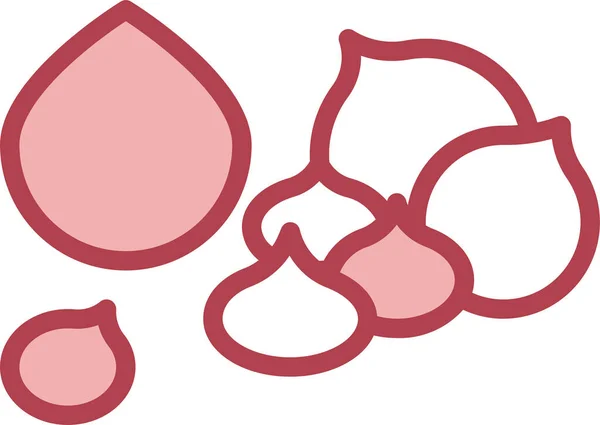 Healthy Macadamia Nutrition Icon — 图库矢量图片