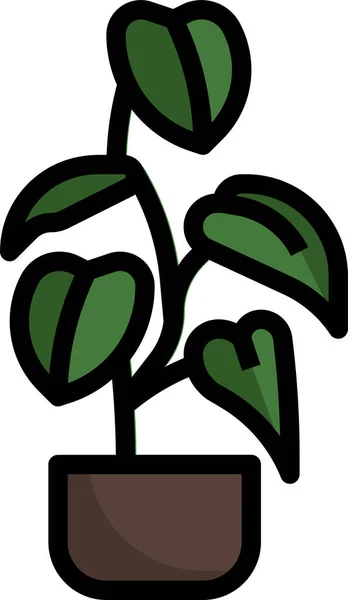 Philodendron Melanochrysum Ícone Flor — Vetor de Stock