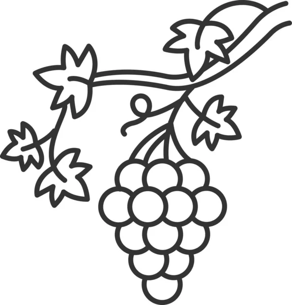 Branch Brush Grape Icon — Stock Vector