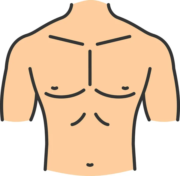 腹部部分胸部アイコンをフルアウトライン形式で表示 — ストックベクタ