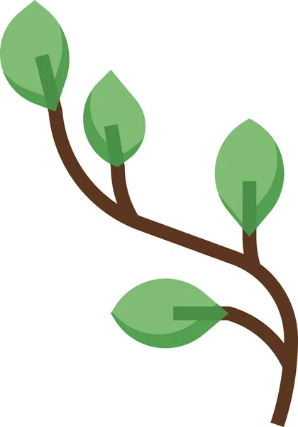 Willow Botanická Zahradní Ikona — Stockový vektor