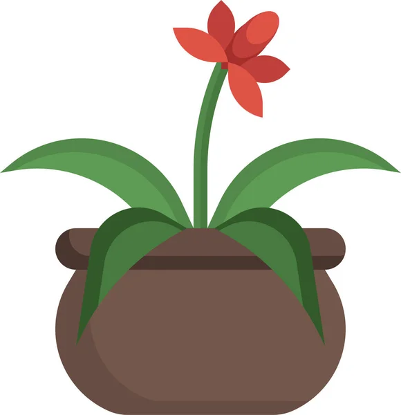 菊花科植物Bromeliad图标 — 图库矢量图片