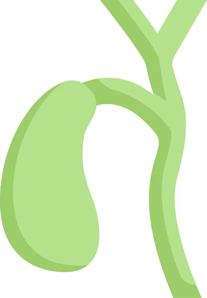 解剖学膀胱图标 — 图库矢量图片