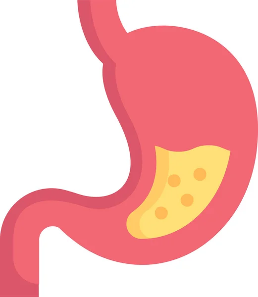 Anatomy Biology Digestion Icon — Stock Vector
