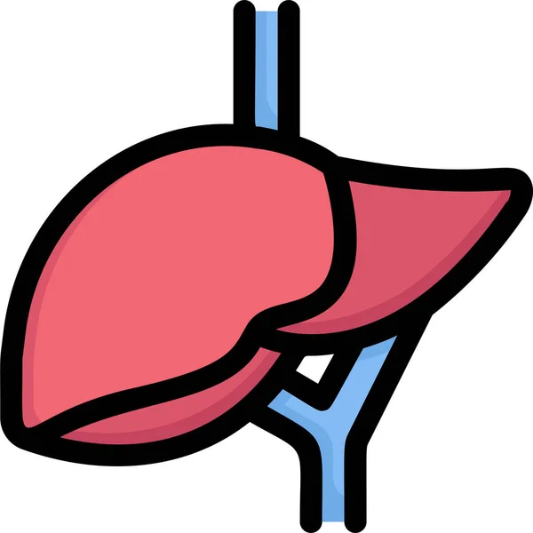 Anatomía Biología Icono Desintoxicación — Archivo Imágenes Vectoriales