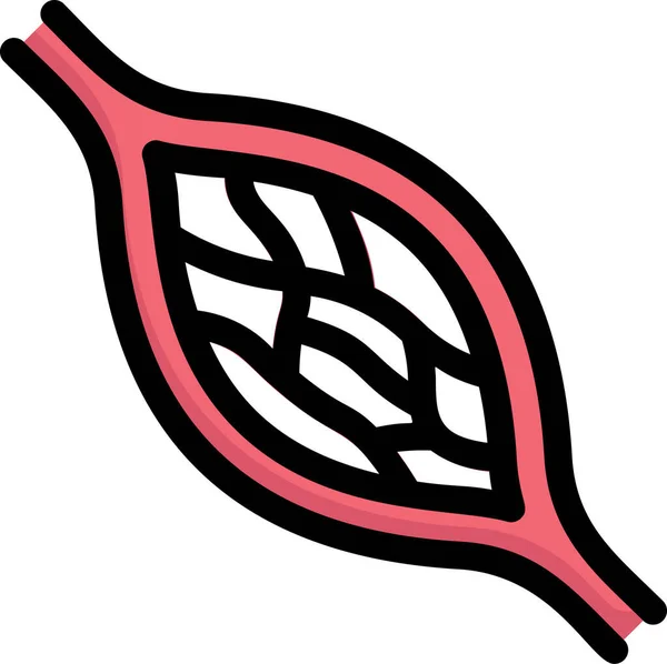 Anatomy Artery Biology Icon — 图库矢量图片